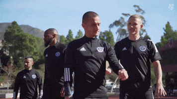 Mls GIF by NYCFC