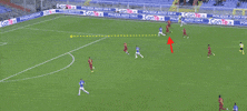 Quagliarella GIF