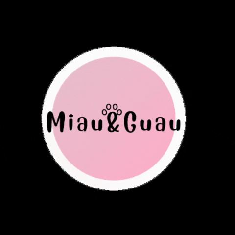 Miauandguau GIF