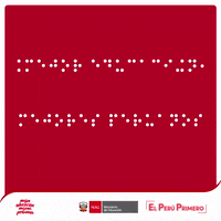 Braille GIF by Ministerio de Educación del Perú