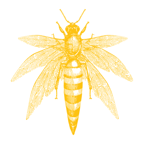 REMEDEUS Sticker