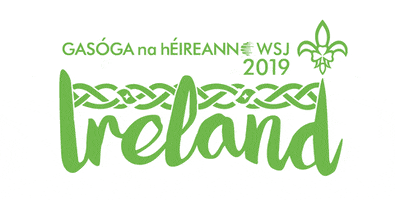 Scouting Ireland WSJ 2019 GIF