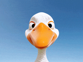 Duck Blender GIF by Pablo Lopez