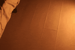 Bedroom Fantasia GIF by osmarval
