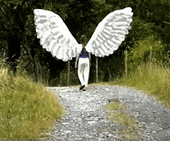 200.gif?cid=fc005b088c41359453b567eb436873e4962dd8b62f5102b3&rid=200.gif&ct=g