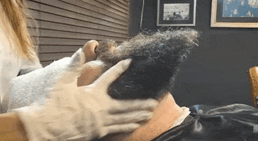 200.gif?cid=fc005b08c18a0d846c049433fbe72a3dbf6ecb7e250dbc4e&rid=200.gif&ct=g