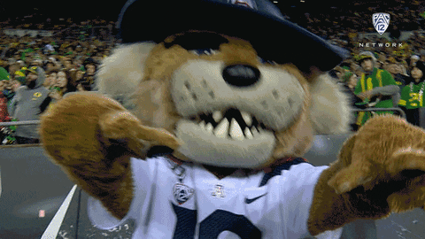 University Of Arizona Eating GIF by Pac12Network - Find & Share on GIPHY