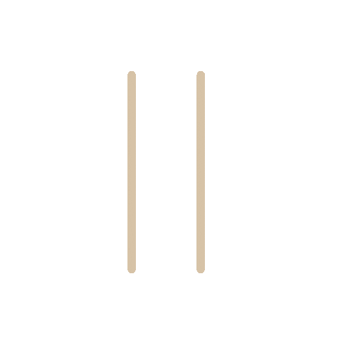 Streetfoodfestival Sticker by streetfoodzurich