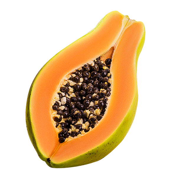 Papaya Hairfood Sticker by GarnierIT for iOS & Android GIPHY