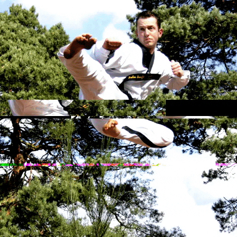 Vervetaekwondo karate martial arts kickboxing taekwondo GIF