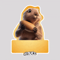 200.gif?cid=fc005b08d03d911a222b0164aceb858361f1b1bdd6869021&rid=200.gif&ct=g