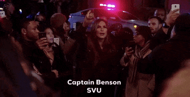 Law And Order Captain GIF by Wolf Entertainment
