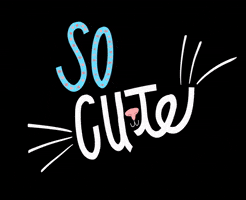 Cat GIF
