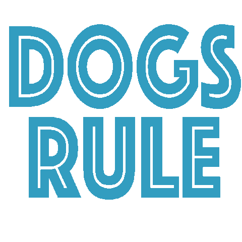 Pet Dogs Rule Sticker by teddytakesthecity