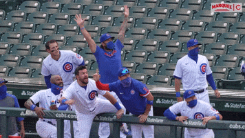 Chicago Cubs Dugout GIF by Marquee Sports Network