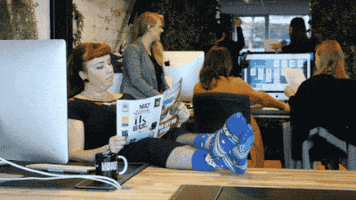 cowsandstars office lazy socks typing GIF