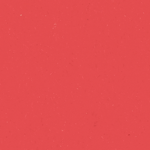 Liberal Democrats GIF