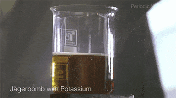 jagerbombs GIF by Digg