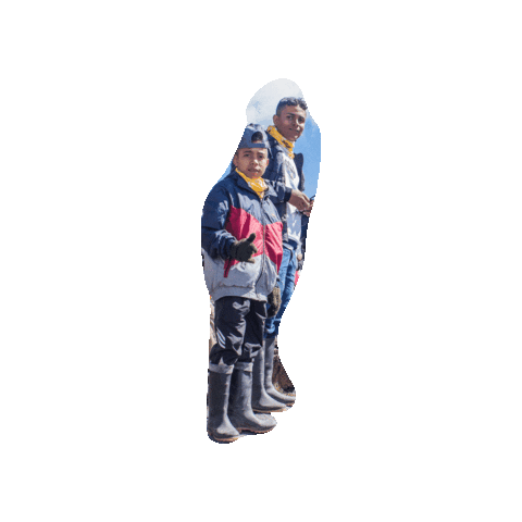 Vive la Cumbre Sticker