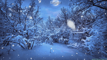 Good Night Snow GIF by echilibrultau