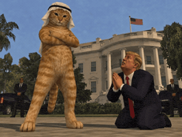 Trump Oil GIF