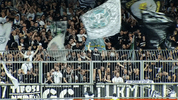 Goal Fans GIF by SK Sturm Graz