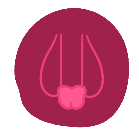 Obstetricia Sticker
