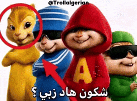 Algeria Who Is That GIF