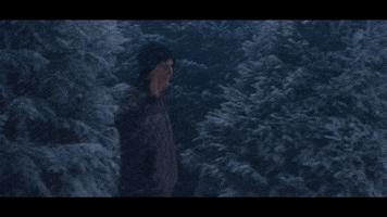 Ed Sheeran GIF