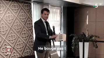 Manuel Valls Move GIF by franceinfo