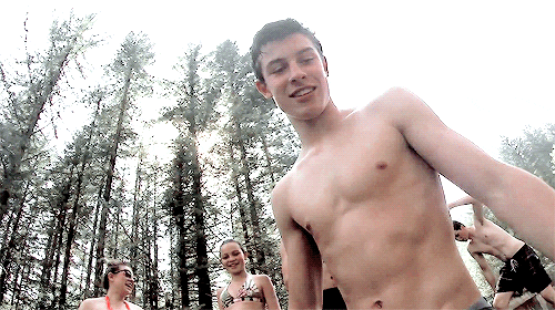 shawn mendes