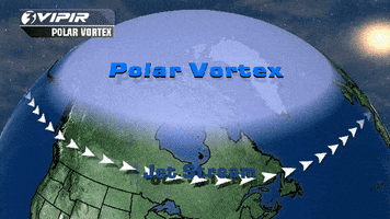 polar vortex GIF