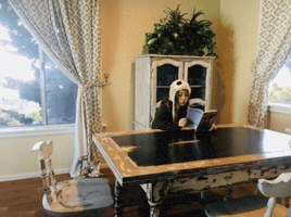 Professional Photography GIF