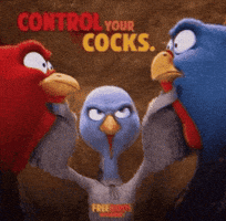 Free Bird GIF