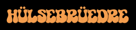 Hülsebrüedere GIF by Tv Bubikon