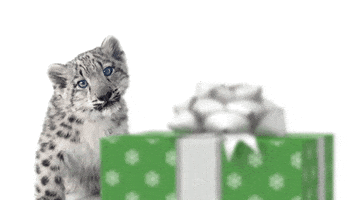 Snow Leopard Thank You GIF by TELUS