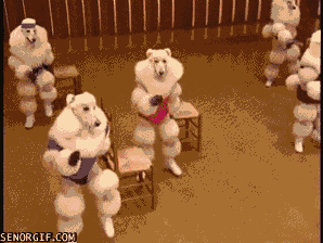 giphy.gif?cid=4d1e4f29b567e38ed1cbbcf95d18f1bf9361f877efe59ef3&rid=giphy.gif