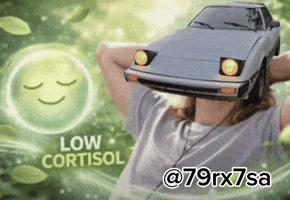 Low Cortisol GIF
