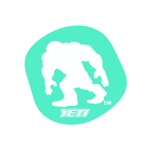 Lacrosse Play Big Sticker by Yeti Stick Company