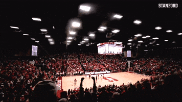 Celebrate Ncaa Basketball GIF by Stanford Athletics