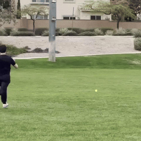 Wiffle Ball Fielding GIF