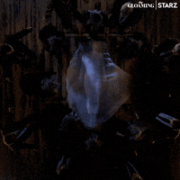 200.gif?cid=fc005b080e092b530f337dbcd2c852362b9edf025ecb327a&rid=200.gif&ct=g