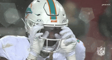 Miami Dolphins Football GIF by NFL