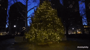 Christmas Tree GIF by visitphilly