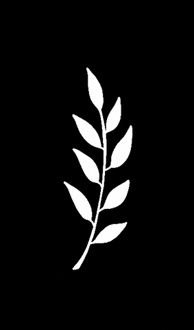 Hkpdesign leaves boho leafs botanical GIF