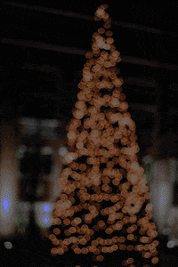 Christmas Tree Lights GIF by Meltem Sahin - Find & Share on GIPHY