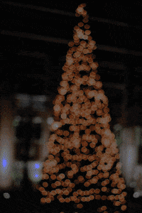 Christmas Tree Lights GIF by Meltem Sahin - Find & Share on GIPHY Christmas Tree Lights GIF by Meltem Sahin - Find & Share on GIPHY
