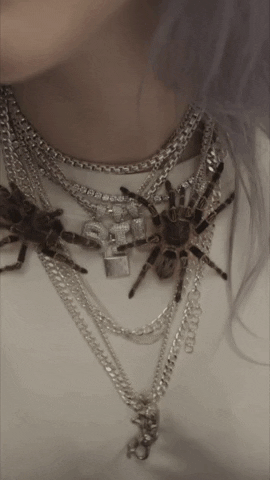 Spider You Should See Me In A Crown Gif By Interscope Records Find Share On Giphy