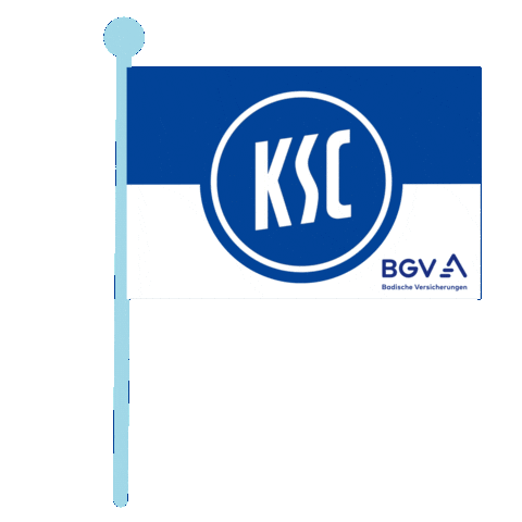 Karlsruher Sc Sportverein Sticker by BGV