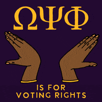Voting Rights Gold GIF by INTO ACTION